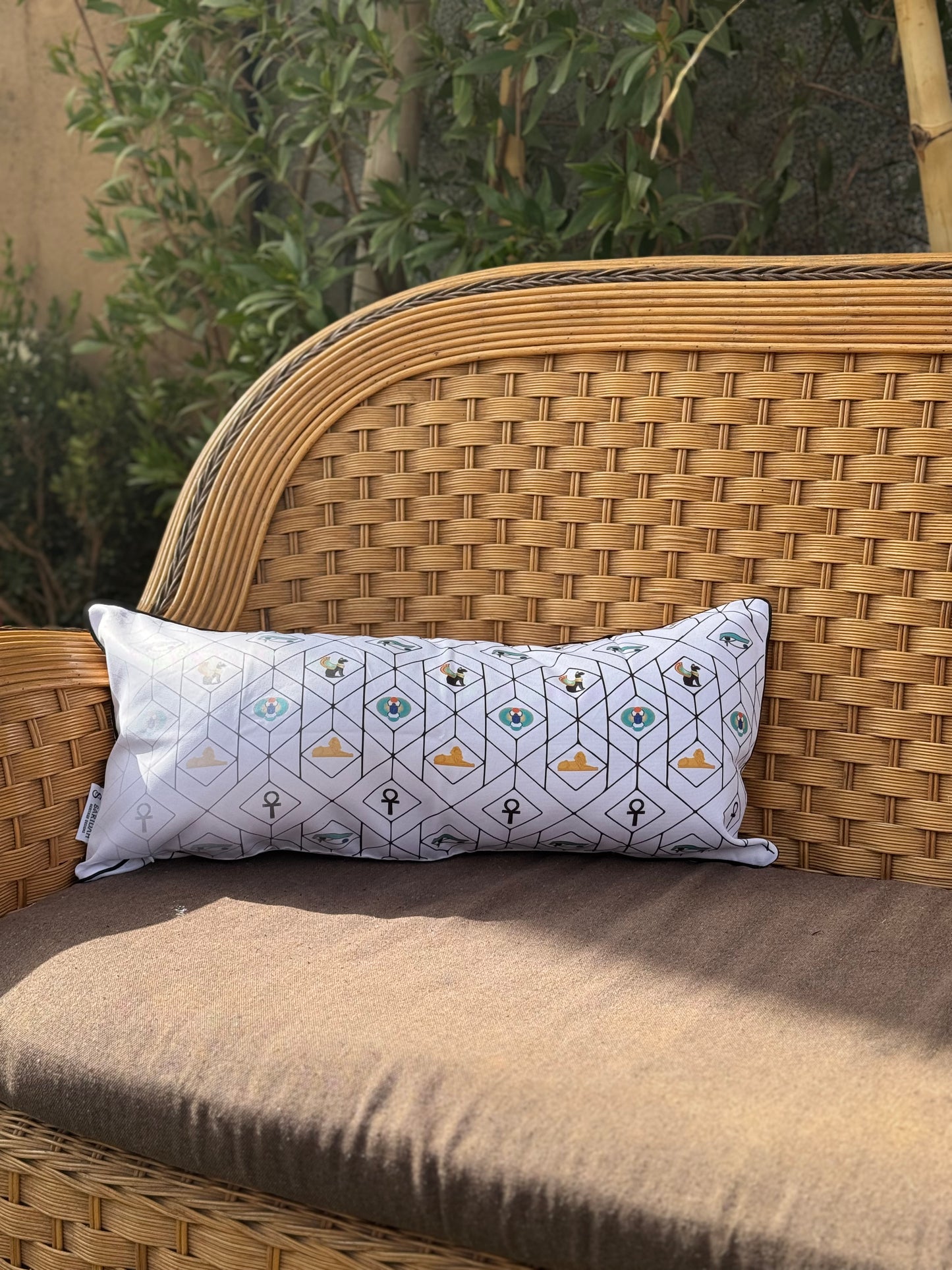 Ancient Egypt Good Luck Symbols- Cushion baguette